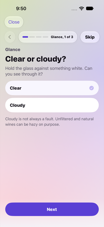 The first tasting question, about how the wine looks